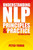 Understanding NLP (Principles and Practice (second edition)) by Peter Young, 9781904424109