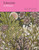 Linocuts (A History) by Ella Ravilious, Gill Saunders, 9780500480908