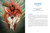 The Book of Korean Mythology (From Dokkaebi to Mudang, an Encyclopedia of the Gods, Monsters, and Heroes of Korea) by Huck Kahng, Michelle Wang, 9781507226698