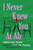 I Never Knew You at All (A Novel) by Christine Pride, Jo Piazza, 9781668033258