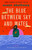The Blue Between Sky and Water (A Novel) by susan abulhawa, Fariha Róisín, 9781668242094