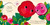 You're My Little Sweetheart (Board Book for Babies and Toddlers 0-2 years old) by Nicola Edwards, Natalie Marshall, 9781667213552