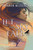 Let the Sky Fall by Shannon Messenger, 9798347116225