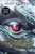 The Dragonships Collection Books 1-3 (Boxed Set) (The Last Dragon on Mars; The Rise of Neptune; The Void Dragons) by Scott Reintgen, 9798347117987