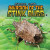 Invasion of the Stink Bugs by Devon Patrick, 9781978548428