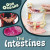 The Intestines by Steffi Cavell-Clarke, 9781482477986