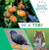 In a Tree by Sarah Ridley, 9781482478730