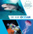 In an Ocean by Sarah Ridley, 9781482478778