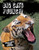 Big Cats Pounce! by Derrick Richards, 9781482479690