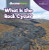 What Is the Rock Cycle? by Doug Bradley, 9781641906197