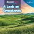 A Look at Grasslands by Dwayne Hicks, 9781641906296