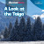 A Look at the Taiga by Dwayne Hicks, 9781641906340