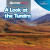 A Look at the Tundra by Dwayne Hicks, 9781641906388