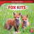 Fox Kits by Noah Riccardi, 9781538295465