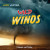 Wild Winds by Joanne Mattern, 9781978549852