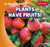 Plants Have Fruits! by Chae Lee, 9781482480931