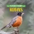 Robins by Kim Thompson, 9781978580541