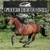 American Quarter Horses by Anne Accardi, 9781978580787