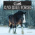 Clydesdale Horses by Anne Accardi, 9781978580879