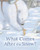 What Comes After the Snow? by Chiaki Okada, Ko Okada, Julie Wright, 9781835750087