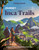 Lonely Planet Journey Inca Trail by Mark Eveleigh, Mark Johanson, Vesna Maric, Scott Montgomery, Agnes Rivera, 9781837588220