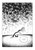 HODO by Yeong-Shin Ma, Janet Hong, 9781770468467