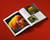 Birds Color by Color (A Visual Guide to the Beauty and Science of Color in the Avian World) by Geoffrey E. Hill, 9780789346834
