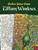 Color Your Own Tiffany Windows by Louis Comfort Tiffany, Marty Noble, 9780486465333