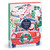 Christmas Joyride 9 x 12" Paint by Number Kit by Galison, Emily Taylor, 9780735389618