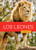 Los leones (Spanish Edition) by Rachael Hanel, Andrea MacDonald, 9798896802891