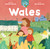 Our World: Wales by Heather Davies, Nia Havilliard, 9798898591670