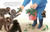 A Monkey Named Punch by Betsy Groban, Joanie Stone, 9798217447671