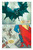Superman/Shazam!: First Thunder by Judd Winick, Josh Middleton, 9781799509851