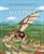 The Extraordinary Ideas of Leonardo Da Vinci (Big Ideas for Curious Minds) by Woolf, 9781398843271