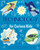 Technology for Curious Kids (An Illustrated Introduction to Simple and Complex Machines, World-Changing Inventions - and More!) by Anna Claybourne, Nik Neves, 9781398857483