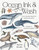 Ocean Ink & Wash (Create Amazing Animal Art in Watercolor and Pen) by Rachel Brooks, 9798890036353