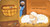 Night Night, Noah's Ark (A touch-and-feel storybook) by Marcie Roche, Mateja Lukezic, 9781664352537