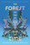 The Forest on the Edge of Time by Jasmin Kirkbride, 9781250376855