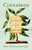 Cinnamon (A History of Taste and Empire) by Nira Wickramasinghe, 9781250385659
