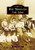 Rye Through the Lens by Lewis T. Karabatsos, 9781467163569