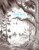 John Muir (To the Heart of Solitude) by Lomig, 9781681123523