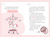 Un mundo lleno de unicornios bebés / A World Full of Baby Unicorns (Spanish Edition) by Vanesa Pérez-Sauquillo, 9788419868718