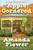 Apple Cornered by Amanda Flower, 9781496759481