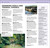 DK Top 10 Azores by DK Travel, 9780241836095