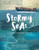 Stormy Seas (Stories of Young Boat Refugees) by Mary Beth Leatherdale, Eleanor Shakespeare, 9781554518968