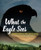 What the Eagle Sees (Indigenous Stories of Rebellion and Renewal) by Eldon Yellowhorn, Kathy Lowinger, 9781773213293