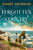 Forgotten Country by Stacey Reynolds, 9781837004270