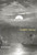 Franklin's Passage by David Solway, 9780773526839