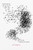 Murmuration (Marianne's Book) by John Baglow, 9780228018483