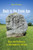 Back to the Stone Age (Race and Prehistory in Contemporary Culture) by Ben Pitcher, 9780228014522